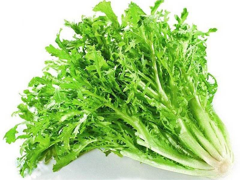 食材配送從生產(chǎn)、采摘再到蔬菜配送無(wú)縫銜接